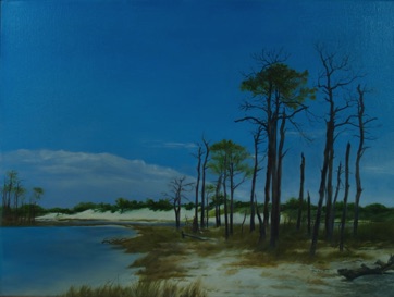 Pine Beach 
oil on canvas
30” x 40”